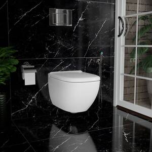 Saudi Ceramic Hnag Toilet Wall Orix Vectoria