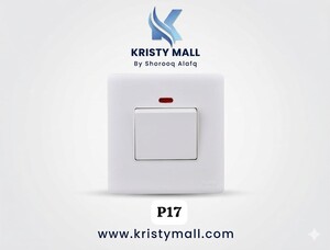 مفتاح مكيف 45 أمبير ثنائي القطب مع لمبة NAS